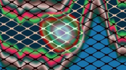 image: image from grid