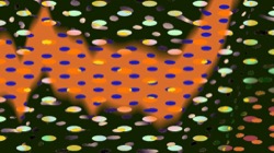 image: image from grid