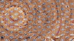 image: image from grid