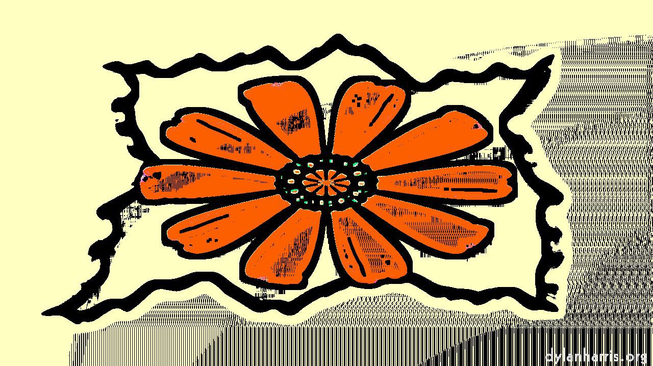 image: motif boxes :: m19