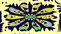 image: image from motif boxes