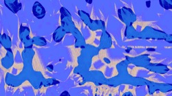 image: image from msg to test