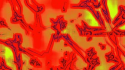 image: image from msg to test