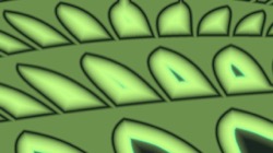 image: image from new attractor