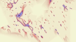 image: image from new e