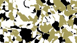 image: image from new f