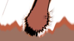 image: image from new f