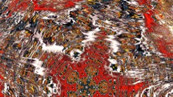 image: image from organic sym