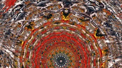 image: image from organic sym