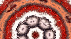 image: image from organic sym