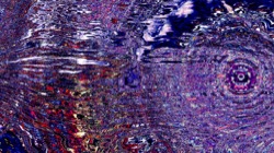 image: image from organic sym