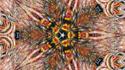 image: image from organic sym