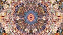 image: image from organic sym