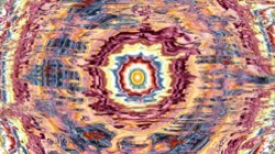 image: image from organic sym