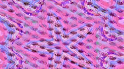 image: image from pastel grid like