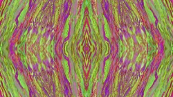 image: image from sym