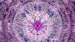 image: image from sym