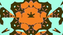 image: image from sym broken