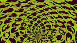 image: image from sym patterns