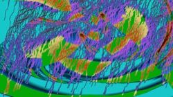 image: image from t1