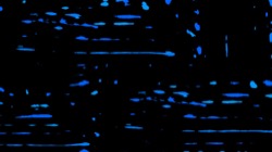 image: image from t1