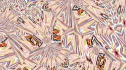 image: image from t1