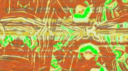 image: image from t2