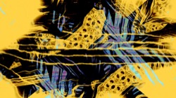 image: image from t2