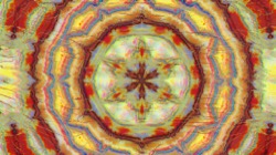 image: image from trisym