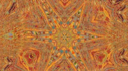 image: image from trisym