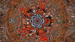 image: image from trisym