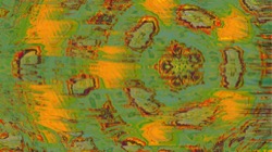 image: image from trisym