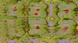 image: image from trisym