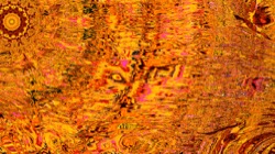 image: image from trisym