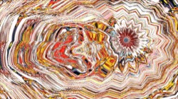 image: image from trisym