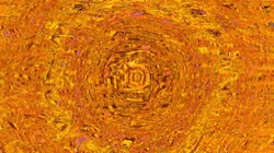 image: image from trisym