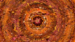 image: image from trisym