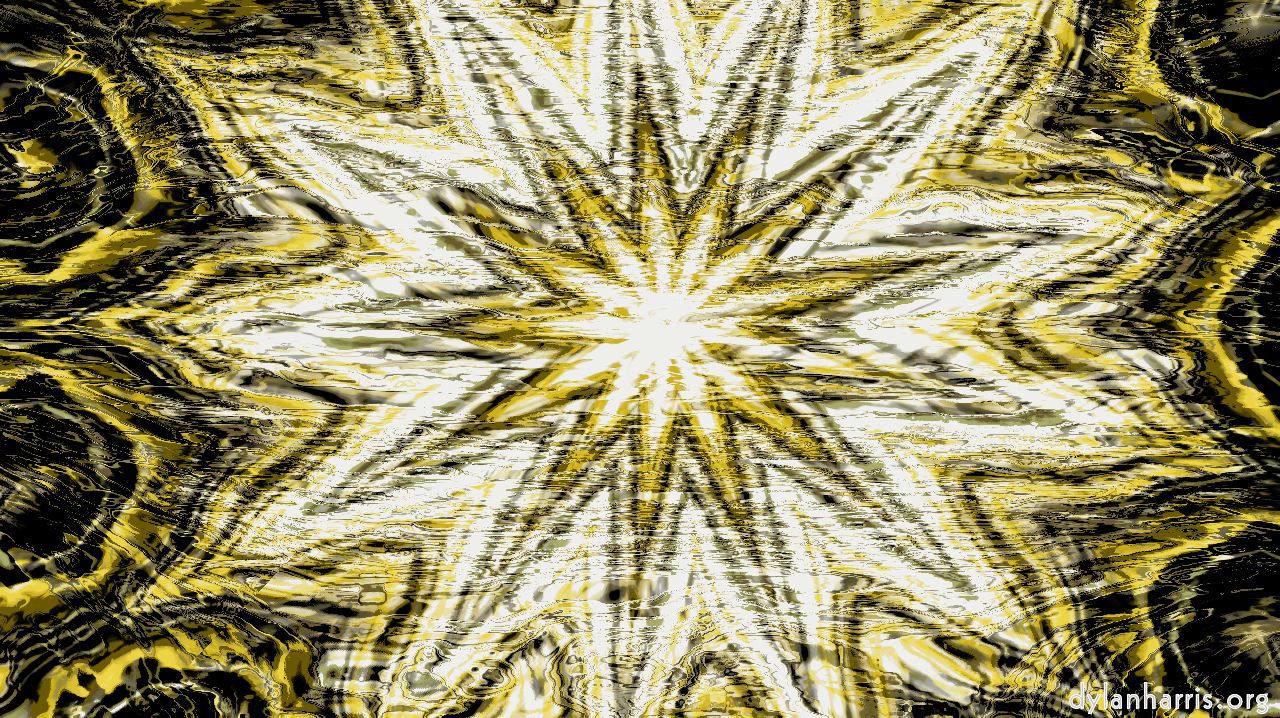 image: zygotes :: b1