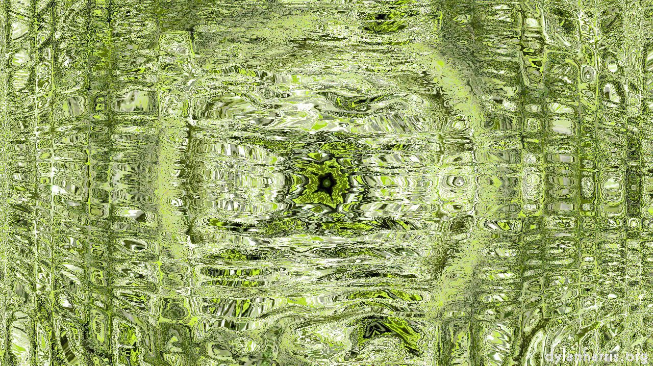 image: zygotes :: d14