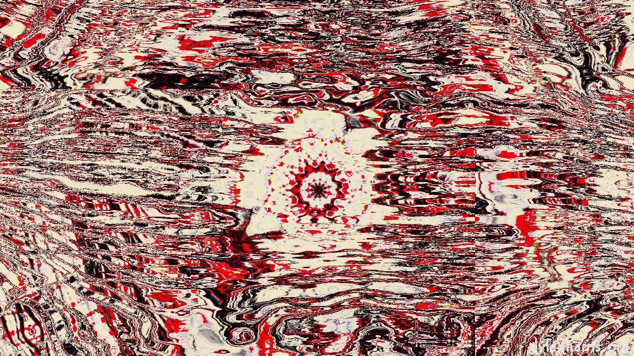 image: zygotes :: s11