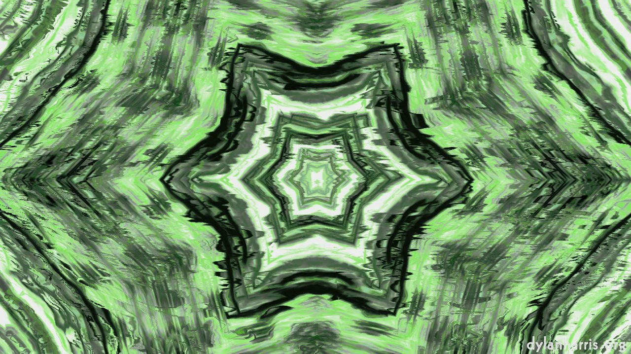 image: zygotes :: zygote15