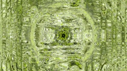 image: image from zygotes