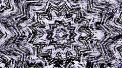 image: image from zygotes