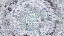 image: image from zygotes