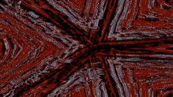 image: image from zygotes