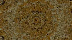 image: image from zygotes