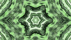 image: image from zygotes