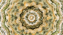 image: image from zygotes