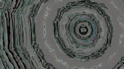 image: image from zygotes