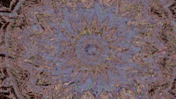 image: image from zygotes